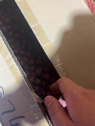 有没有吃过酸枣的 新疆的酸枣,这个酸枣没有加工过适合泡水煲汤#酸枣