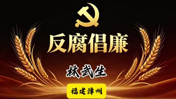 福建漳州|林武生#社会百态 #民生关注 #我的观影报告 #反腐倡廉 #福建漳州