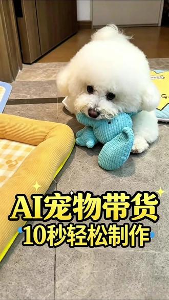 宠物带货视频 用Ai轻松实现#宠物带货 #Ai#萌宠#宠物用品#真实生活分享计划