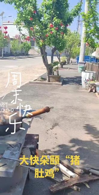 周末打牙祭“溜达鸡炖猪肚”