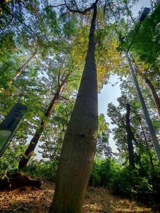 这一周我把做内容的所有形式都试了一遍。剪辑、长文、AI配音、图文快闪……每一条路都走进去,走到走不动,再退出来。
最后发现,最适合我的方式只是:开口说话,转成文字,发出去。
原来我不是能力不够,是没找到不消耗自己的表达方式。
#内容创作 #个人成长 #表达者红利 #认知升级 #自我探索