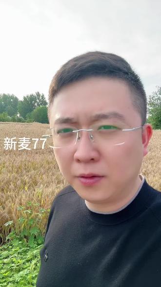 收麦的老乡注意了#农业#收麦 #收割机 #农民#新麦77