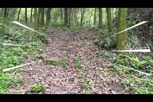 春假来了,大渔体育的老师们带领孩子们感受大自然的魅力!