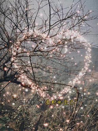 “今年的情人节特别浪漫,当情人节撞上春节,浪漫与年味撞个满怀,一半是新年的期盼,一半是你给的浪漫,无论新年还是旧年 ,只愿年年 你在身边 在你身边,愿我们今年爱财也爱己,今年必定风生水起!”#情人节