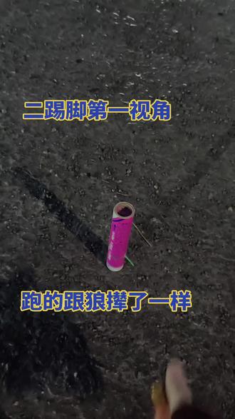 三十多年第一次尝试二响炮😂跑的跟狼撵了一样#二踢脚 #第一视角