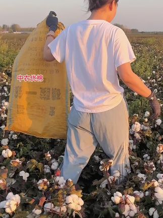 看着白花花的棉花,要来拾点地头花打个网套吗?🥰#军垦名城石河子#新疆种植棉花#三农流量扶持计划#新疆兵团#兵团种地的小猴子