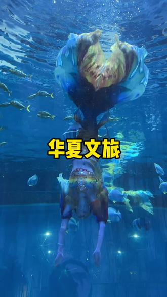 一百多的海洋馆门票+古城峰火门票,刷到赶紧冲#我在海底看了场敦煌时装秀#在西安实现了大唐职业自由
#当我的春节vlog拍成了大唐连续剧#春节福气好去处