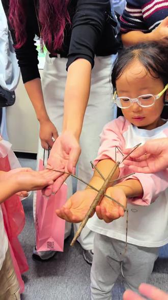 我嘞个豆🎉涡阳这家店太虎了,居然能触摸活体昆虫 #亲子游玩好去处#昆虫#亲子游玩好去处#爬宠 #寒假充电计划