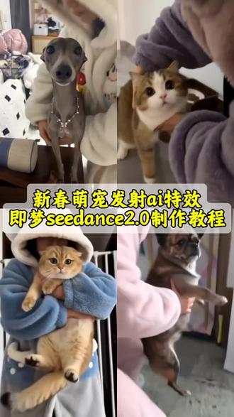 新年就玩萌宠发射特效#随便一飞万物发射 飞出屏幕恐怖片,萌宠发射特效,萌宠发射教学,萌宠炮弹发射,萌娃冲出屏幕原视频,萌娃发射,萌娃发射特技教程#AI分身戏精大赛 #我的AI分身杀疯了 #萌宠发射教程 #即梦seedance2.0 随便一飞万物发射教程 飞出屏幕恐怖片教程 萌宠发射教程 萌宠炮弹发射教程 新年就玩萌宠发射特效教程