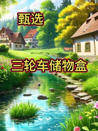 三轮车储物盒前置电动三轮车放东西神器三轮摩托车工具手机收纳箱#三轮车储物盒 #电动三轮车 #放东西神器 #三轮摩托车工具箱 #手机收纳箱