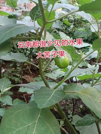 #好东西一起分享