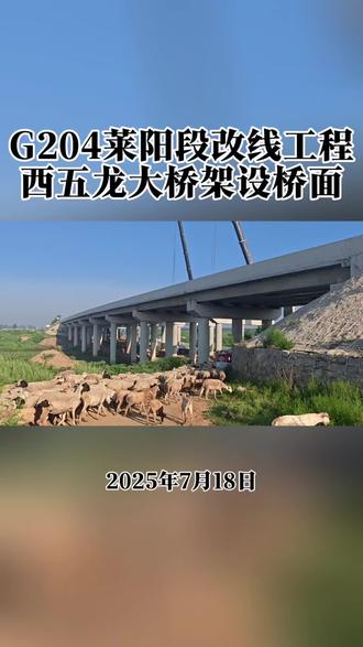 #G204莱阳段 改线工程