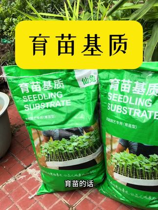 育苗基质,专用育苗土,让你育苗轻松省力!#家庭种植 #育苗