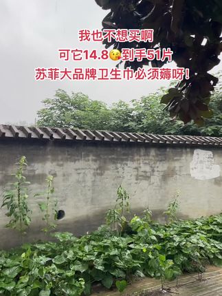 商家你是不是搞错价格了?!这个价就到手 51片,还是苏菲大品牌!趁便宜赶紧囤起来#苏菲#苏菲卫生巾 #卫生巾#姨妈巾#超便宜超划算#好物推荐🔥