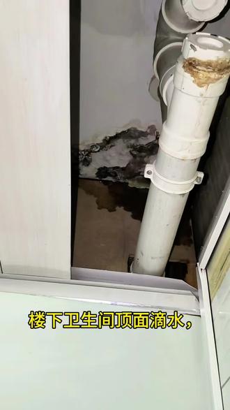 楼下卫生间顶面滴水,水顺着管道根部持续的滴漏。客户关了总阀以后,就不漏了。经过沟通以后,初步判断应该是地下暗埋水管漏水了。经过打压测试,确定是热水管漏水。使用专业设备仪器精准定位,发现是一个三通接头老化导致漏水。漏水检测维修一定要找专业的人,避免盲目乱砸!#漏水案例 #漏水检测#漏水维修#卫生间漏水#暗管漏水