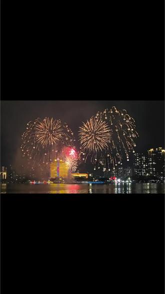 今晚的烟花秀,你们都看了吗?🎆🎆🎆#新年烟花 #城市浪漫地标打卡