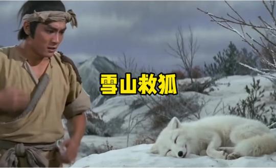 去年在雪山上用酱板鸭救了一只狐狸,没想到是….#大众9X九大黑科技 #大众9X #酱板鸭 #邵氏电影 #雪山救狐