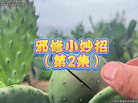 终于知道正派为什么会讨厌邪修了#邪修做饭 #公瑾爆蛋 #鸡蛋的神仙吃法 #糖醋荷包蛋