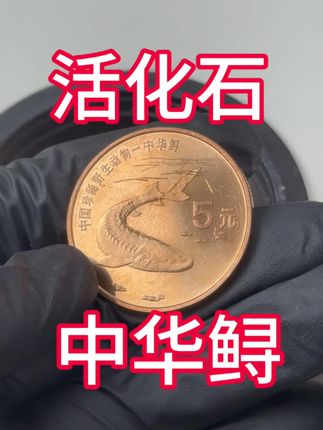 #中华鲟#纪念币#收藏#老钱币@抖音创作小助手
