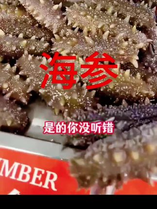 都抢疯了!喜欢吃海参的人千万别错过 高品质大连海参,拍20送 10仅258带回家,够吃一个月#海参#海鲜美食 #强烈推荐 #陈哥美食好物 #海鲜