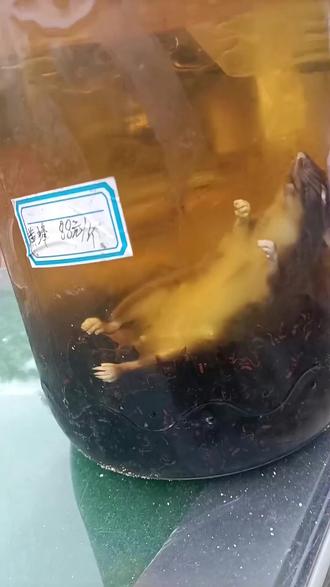 我的朋友不多了。#泡酒好材料 #科普涨知识