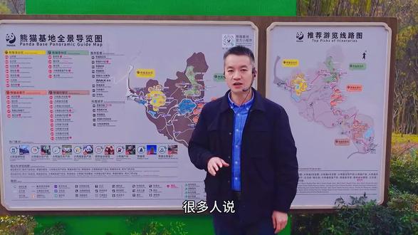 🐼基地需要导游吗?这个视频告诉你答案!#熊猫基地看熊猫 #大熊猫 #导游讲解 #知识分享 #熊猫基地