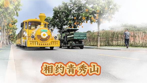 踏青青秀山,又见黄花风铃花#青秀山风景区 #青秀山黄花风铃