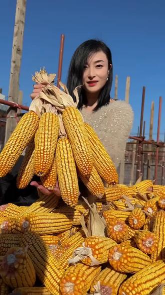 #高产玉米种子 #三农流量扶持计划 #三农 2026年必种品种@抖音三农 @抖音热点 @抖音创作小助手 @抖音小助手