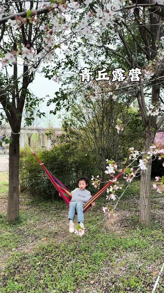 距离市区不远处的青丘露营,春日正是露营的好时候,来这你什么都不用带人来就行#露营#踏青