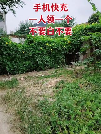 手机超级快充,一人领一单,快冲呀 #手机快充数据线 #充电器 #爆款热卖中 #超便宜超划算#薅羊毛的快乐