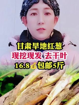 #红葱 #甘肃红葱 #好物分享@抖音管理员 @抖音热点 @我要上热门