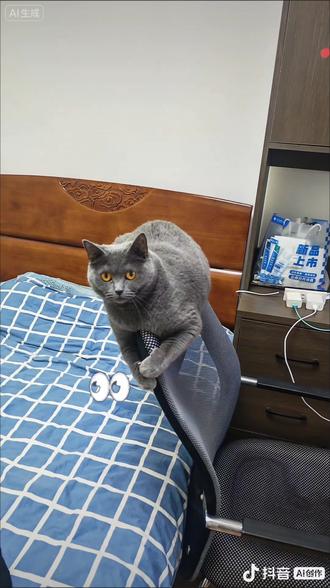 #抖音玩法合伙人计划 #蓝猫 #我的猫咪 蓝猫踮脚探头,像在偷看世界的秘密,那双琥珀色的眼睛里藏着整个宇宙的谜题。床边的水桶和电线,是它日常冒险的背景板,而它,是这片小小天地里的王者。#神奇动物在抖音