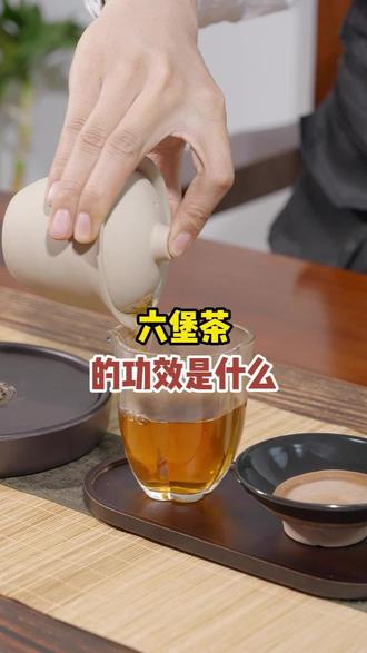 六堡茶的功效是什么#六堡茶#广西六堡茶#六堡茶批发#抖音茶知识