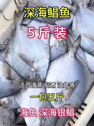 深海银昌#深海银昌#海鲜水产#银鲳鱼#银鲳#深海鱼
