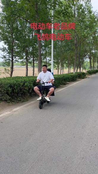 飞鸽电动车国民品牌。可折叠 可放后备厢