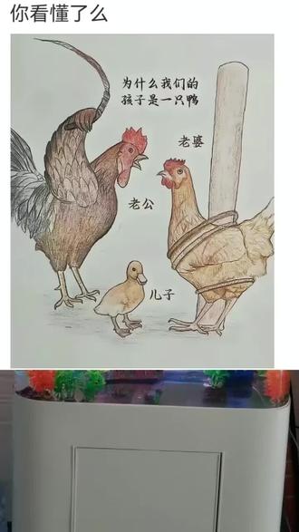 你看懂了吗?#笑口常开好运自来 #搞笑梗图 #评论区出人才 #评论区留言 @抖音小助手
