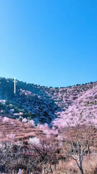 #接下来的蓟州
会是这个样子的