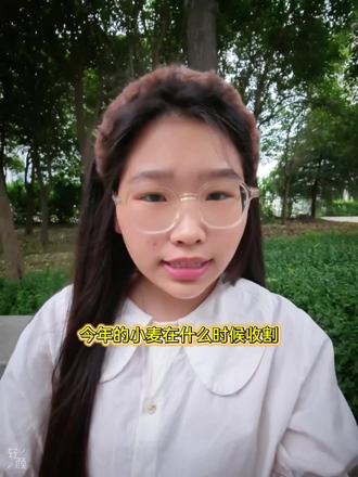 #收小麦 #小麦收割机 今年小麦什么时候收割呢#小麦