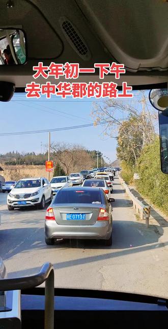 大年初一下午,我乘坐公交车前往中华郡,路上车很多,到中华郡后,更是拥挤不堪。我无心游览,只好原路返回,但回阎良的公交车同样拥挤,让我倍感无奈。