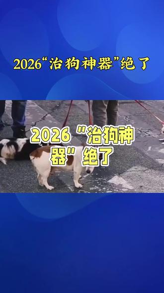 谁发明的“治狗神器”?遛狗不牵绳的问题,被这根木棍解决了#绊狗棍 #养犬乱象治理 #社会热点 #2026养犬新规
#社会百态观察