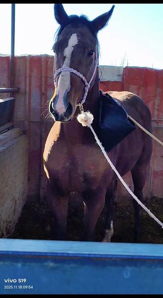 昨天直接撞我进医院了