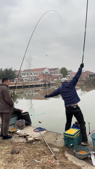 鲫鱼🐟狂拔#鱼获满满 #钓鱼的乐趣只有钓鱼人懂 #钓鱼 #钓鱼人 #爱生活爱钓鱼