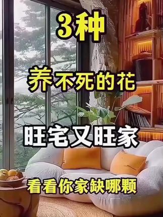 3种养不死的花,旺宅又旺家,看你家缺哪一棵? #金钻绿公主#绿植