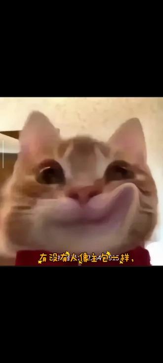 #大学生#网课#大学网课#学习通#网课答案搜题酱更新后,刷不了课了