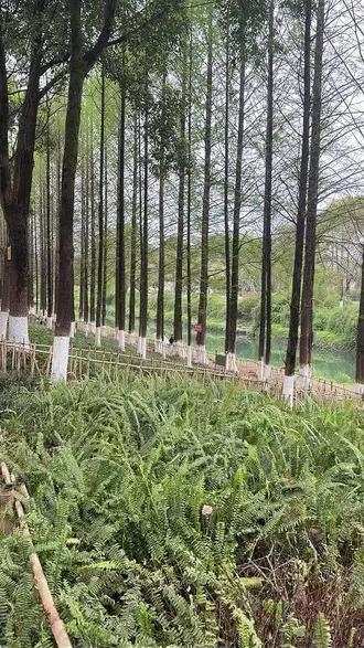 点泰某位靓女要选个清净的钓位#泰某位 #钓鱼的乐趣只有钓鱼人懂 #钓鱼