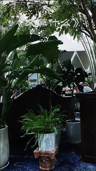 在没有尽头的日子里,生活算什么