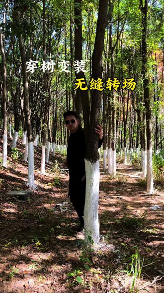 穿树变装无缝转场!手机摄影#拍摄技巧#自媒体#短视频创业