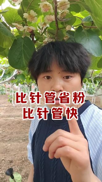 省粉还快的人工授粉器!#果农 #猕猴桃授粉 #猕猴桃花粉 #猕猴桃人工授粉 #花花农业