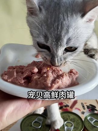 形象哪有肉罐香😋宠贝高肉罐一开,我家平时那爱臭美的小猫埋脸炫的停不下来🤣 #你难道不想拥有一只猫咪吗 #宠贝高 #猫咪罐头 #猫咪主食罐 #猫罐头推荐
