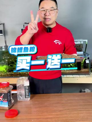 锦鲤金鱼通用增色粮食有哪个养鱼人不喜欢?#新手养鱼 #水族 #鱼粮 #养鱼日记 #科学养宠攻略
